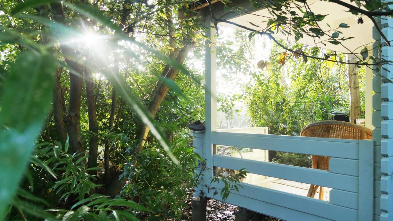 Bamboo Lodge Γκρόνιγκεν Εξωτερικό φωτογραφία