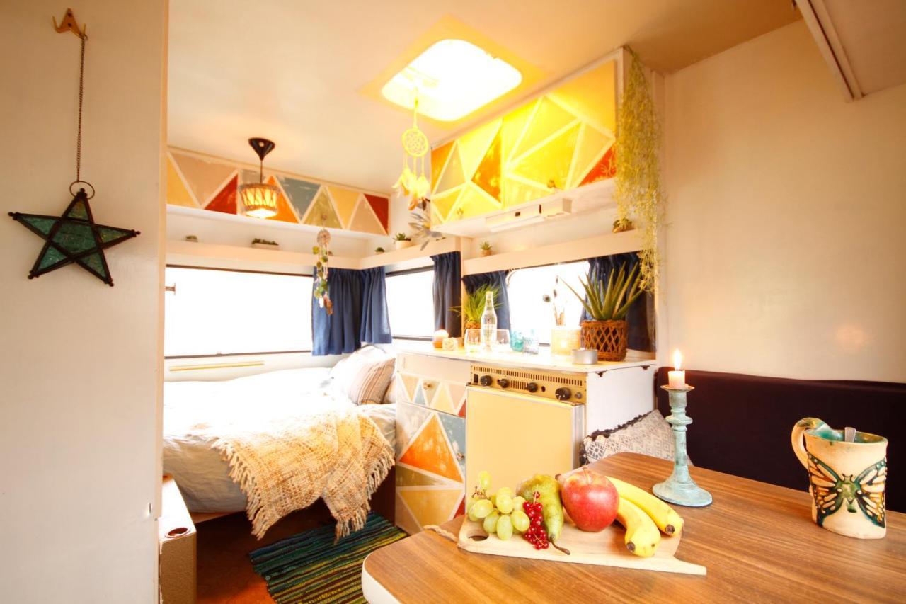 Bamboo Lodge Γκρόνιγκεν Εξωτερικό φωτογραφία