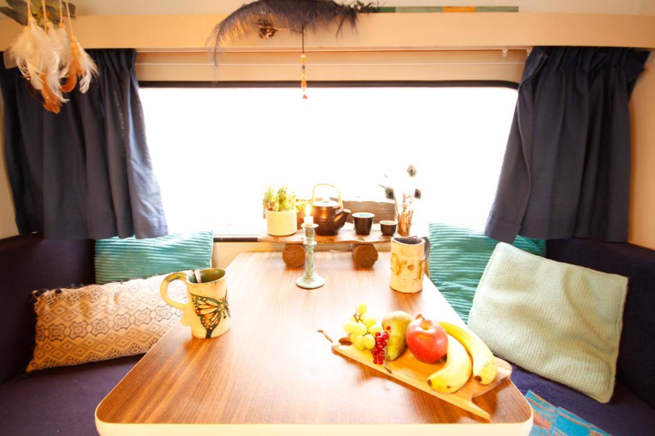 Bamboo Lodge Γκρόνιγκεν Εξωτερικό φωτογραφία