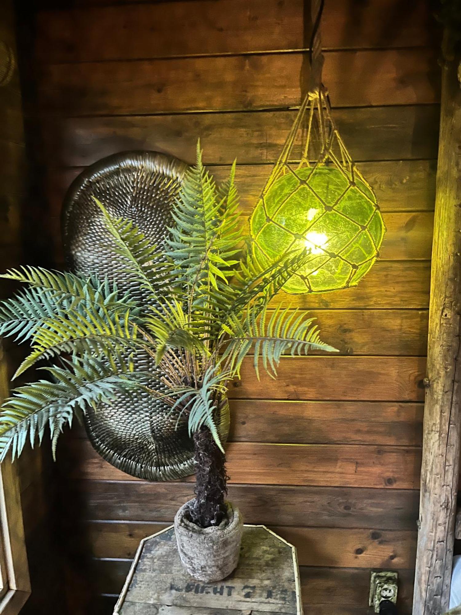 Bamboo Lodge Γκρόνιγκεν Εξωτερικό φωτογραφία